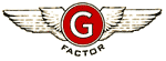 G-Factor Models